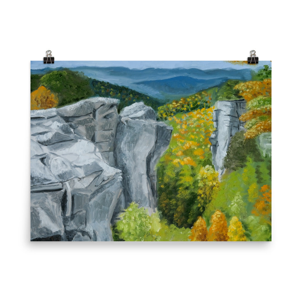 Landscape 43
