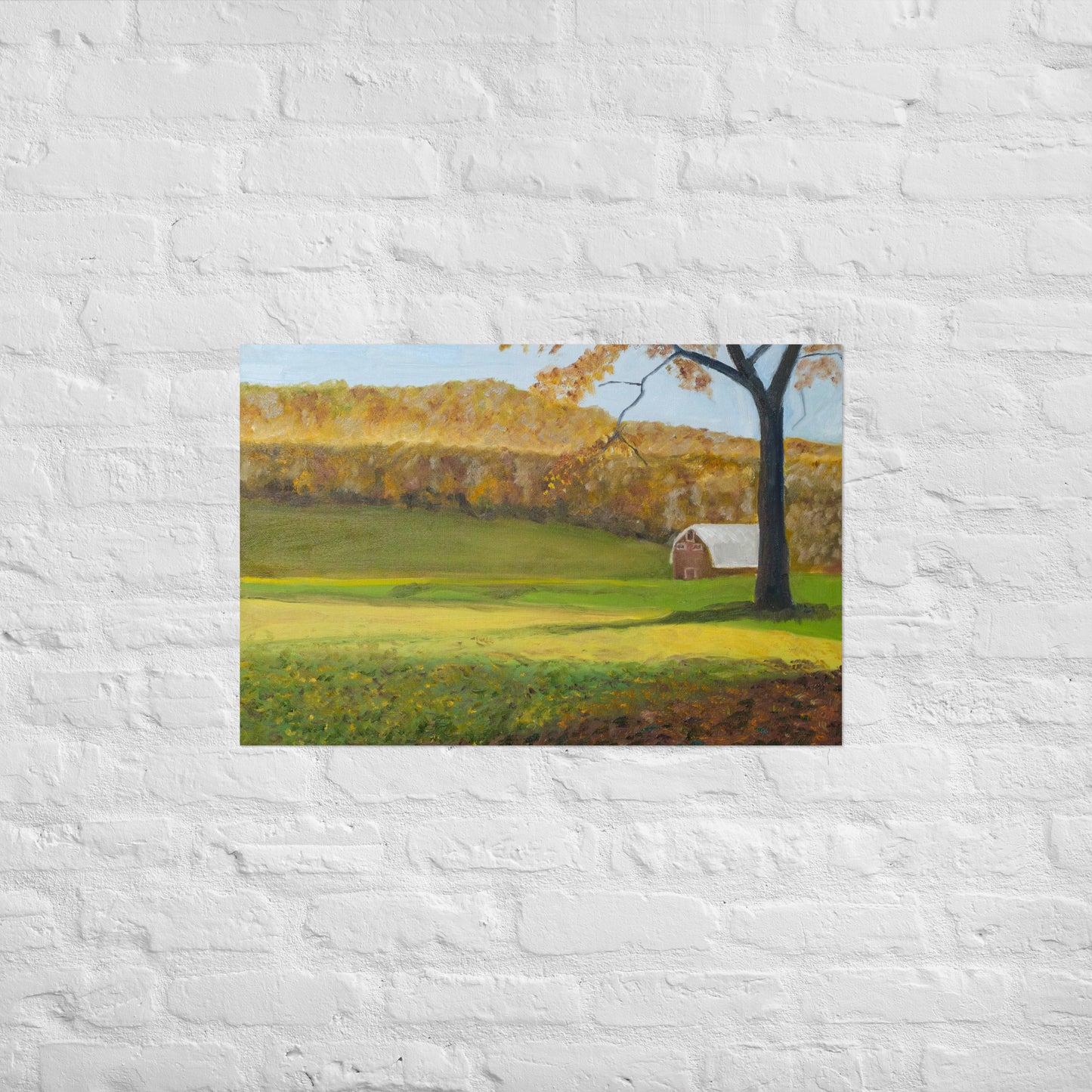 Field and barn