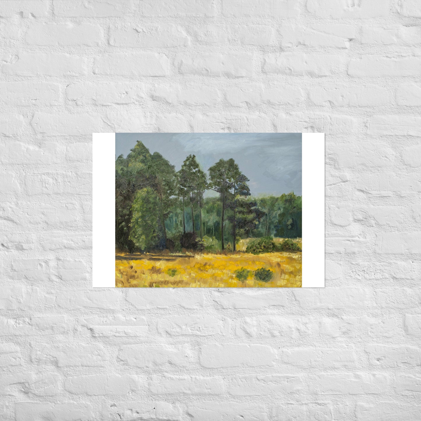 Trees in middleground