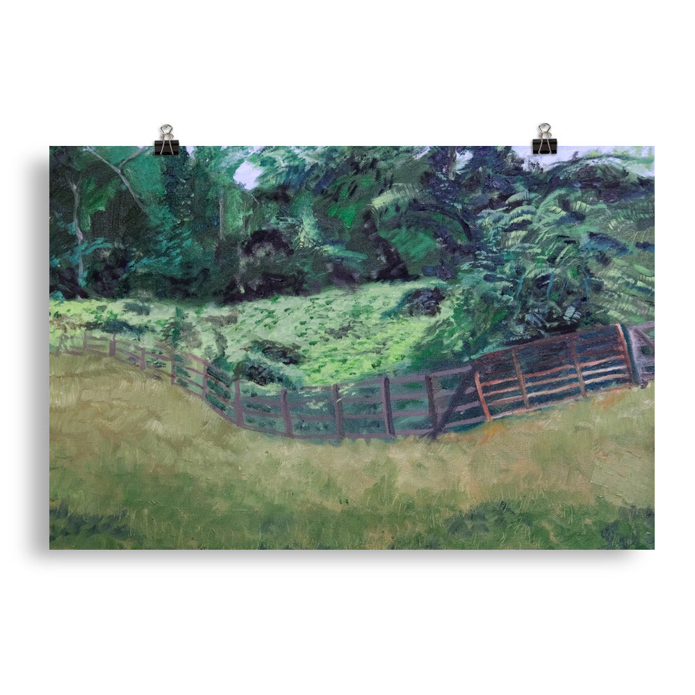 Field and pasture