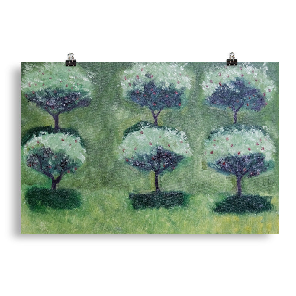 Apple trees