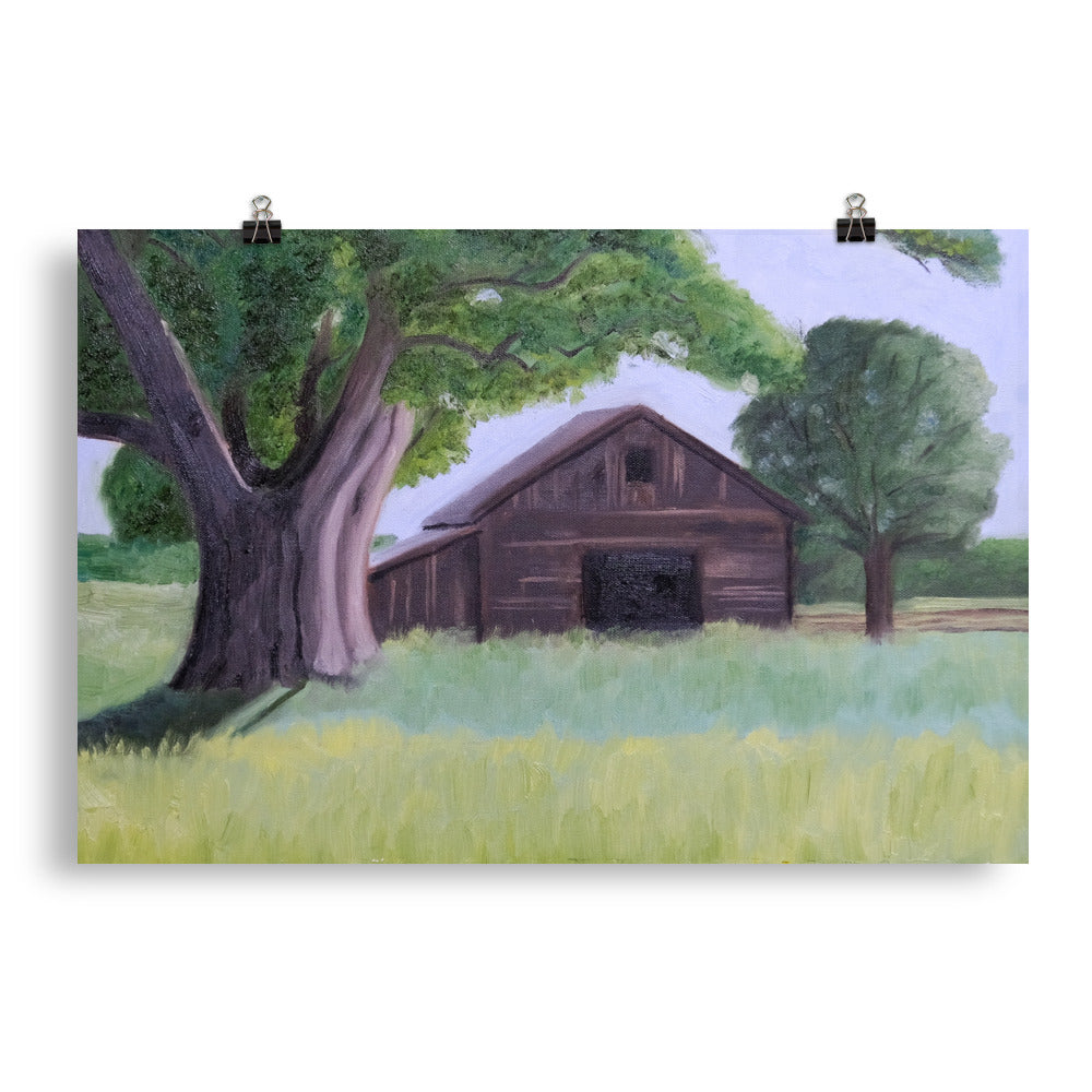 Oak tree and barn