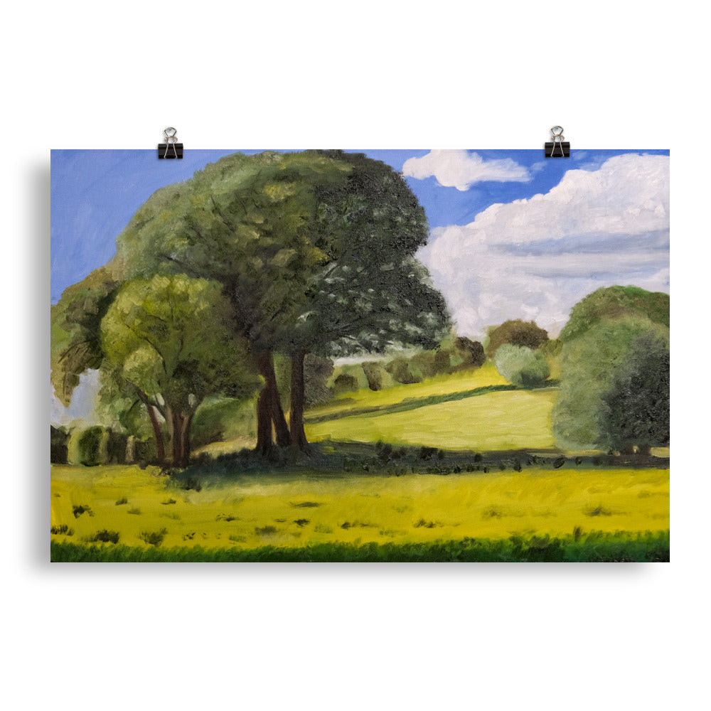 Trees in field