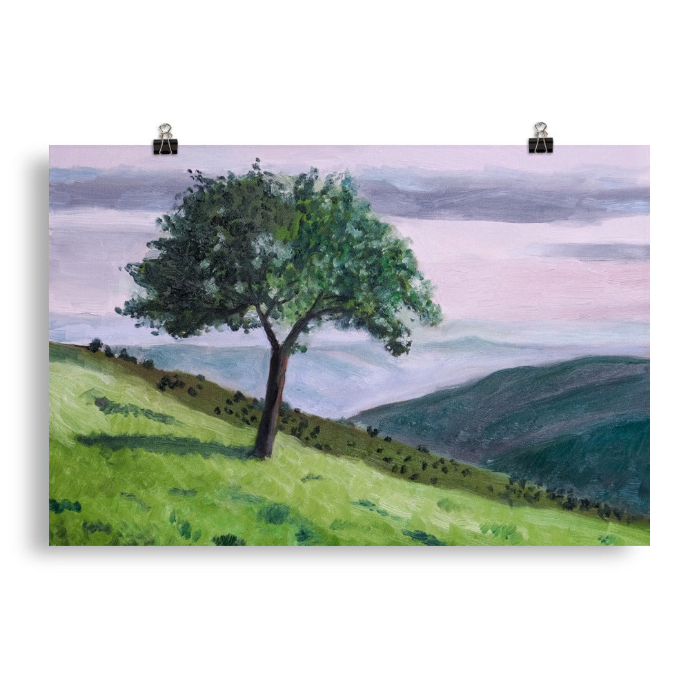 Apple tree