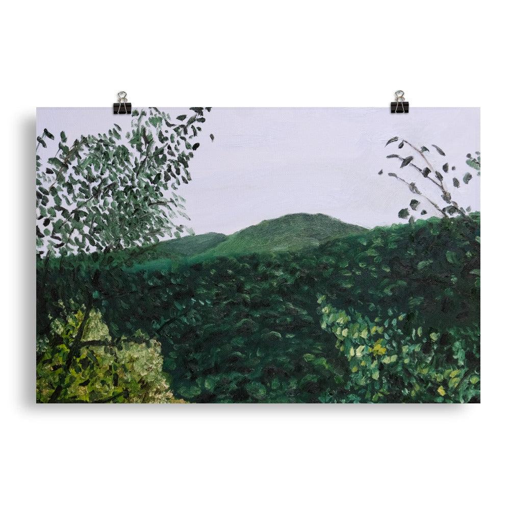 Mountain view