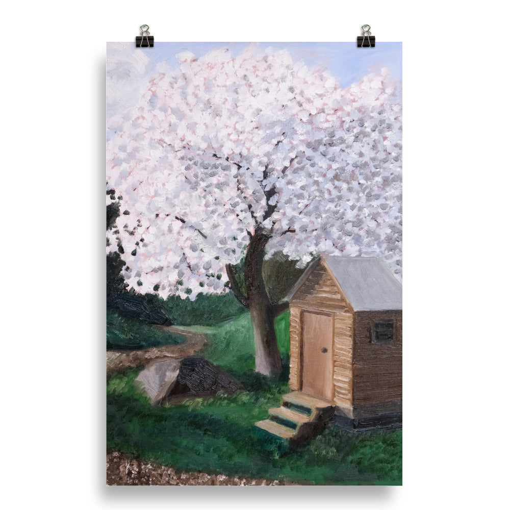 Cherry tree and outhouse