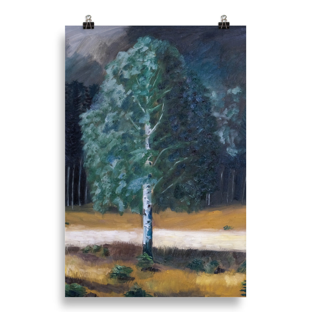 Birch tree