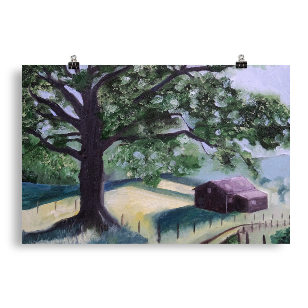 Oak tree and barn