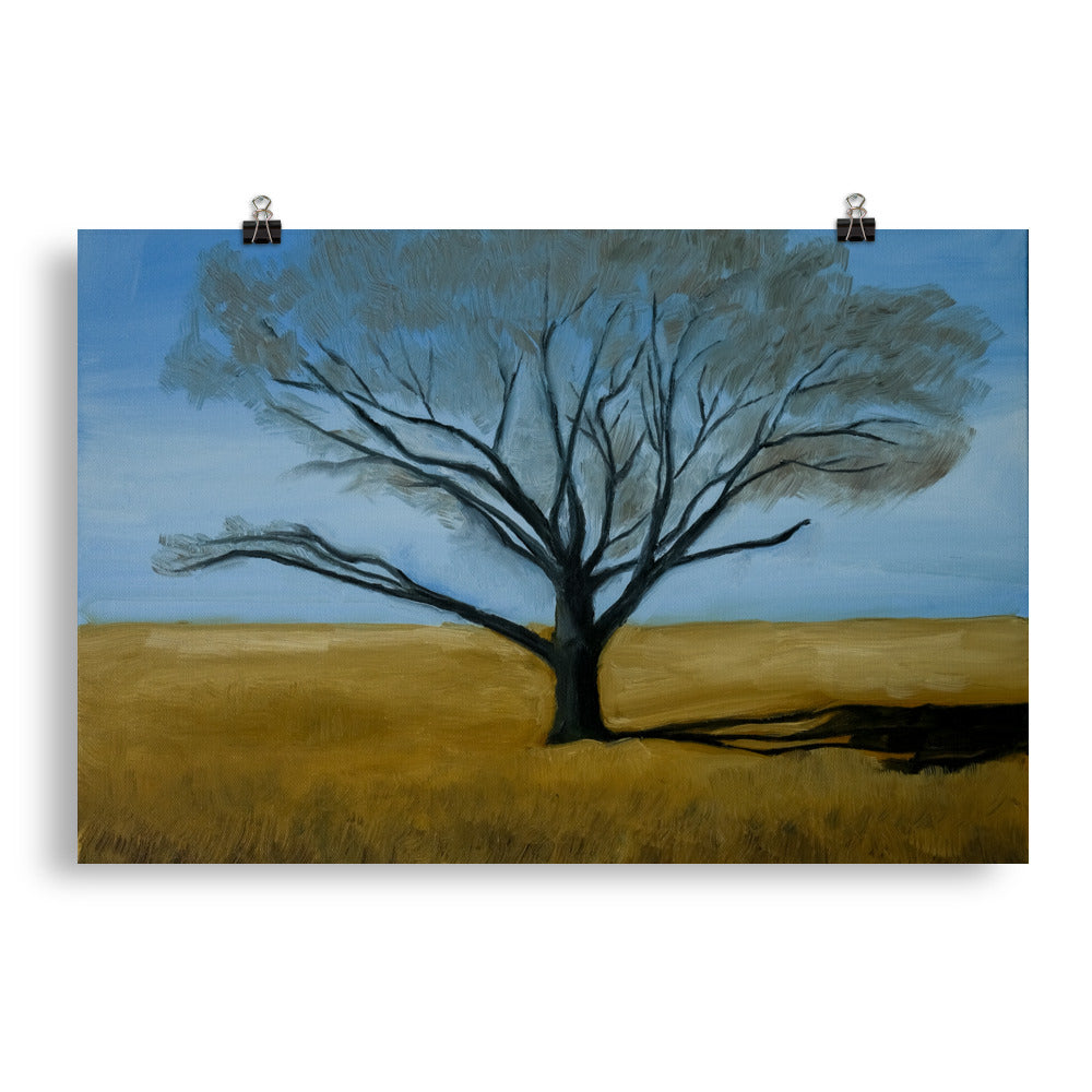Landscape 2