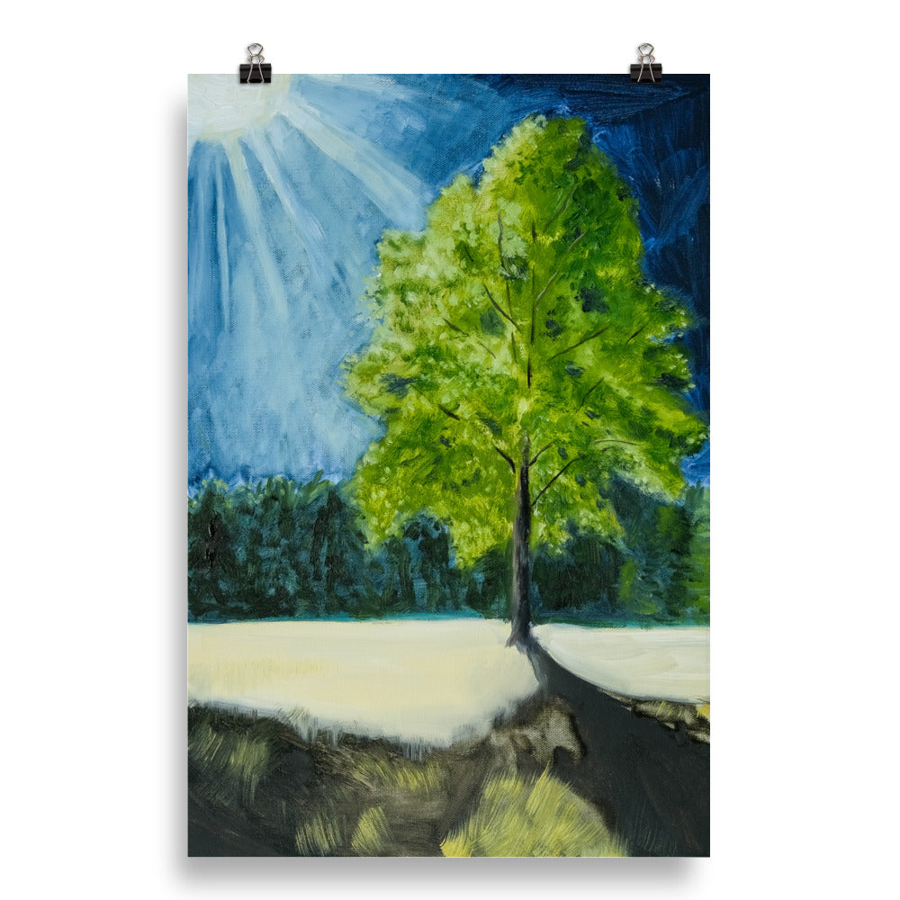 Landscape 5