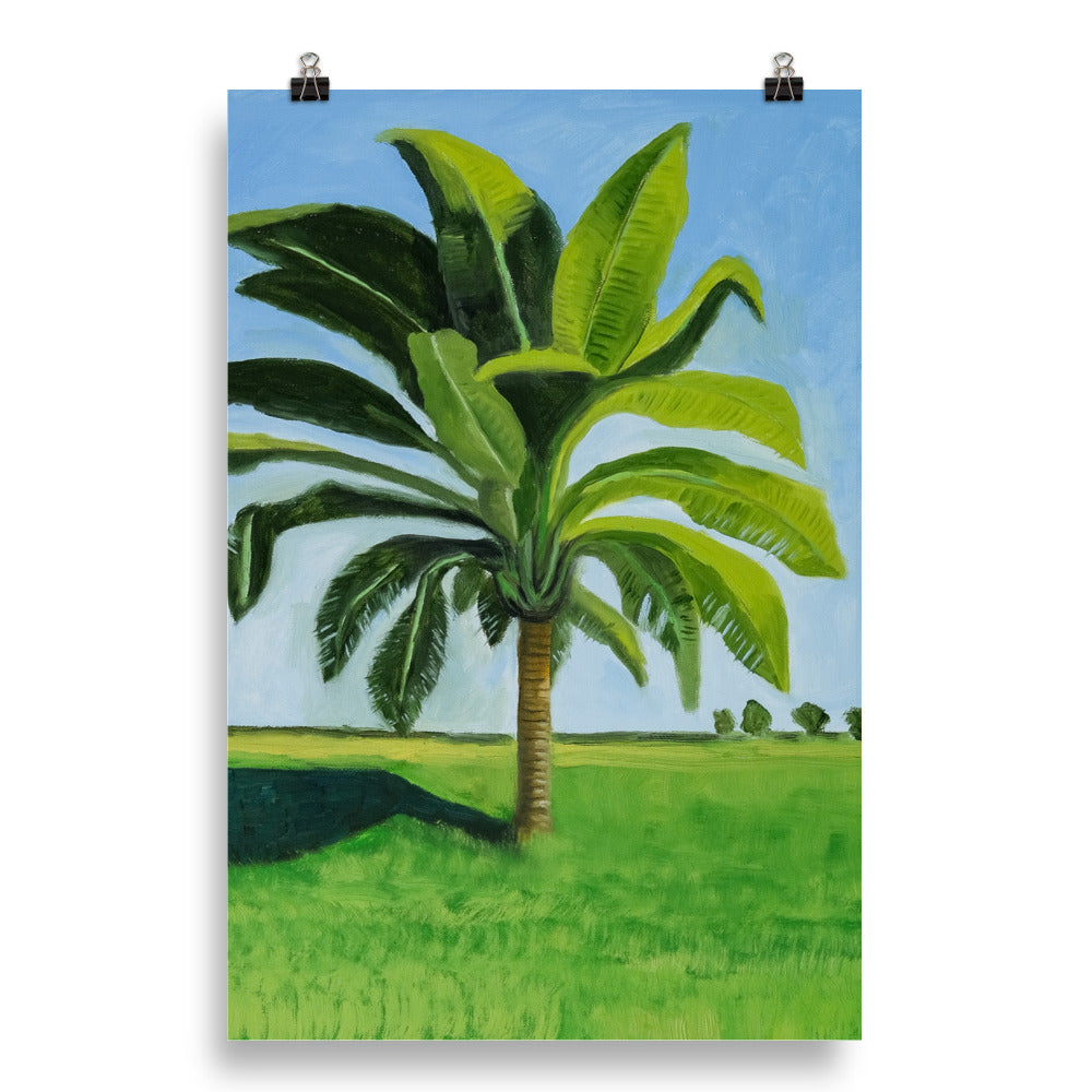 Landscape 8