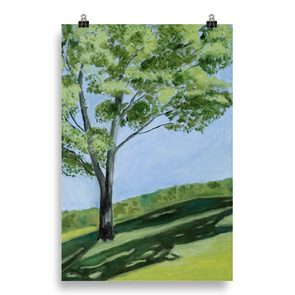 Landscape 10
