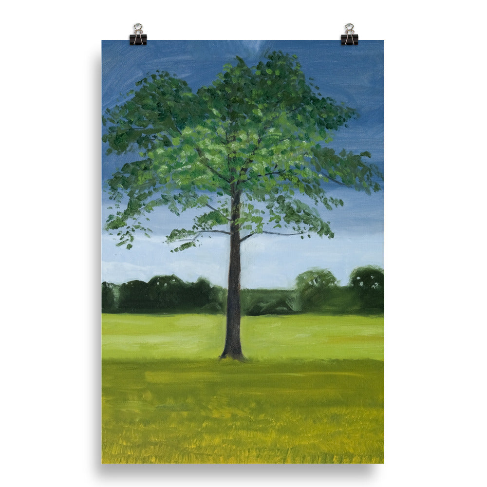 Landscape 12
