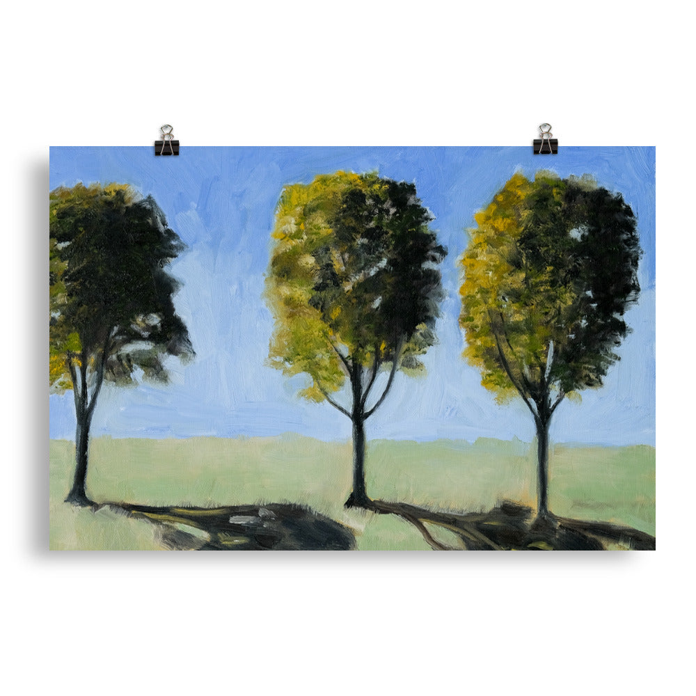 Landscape 14