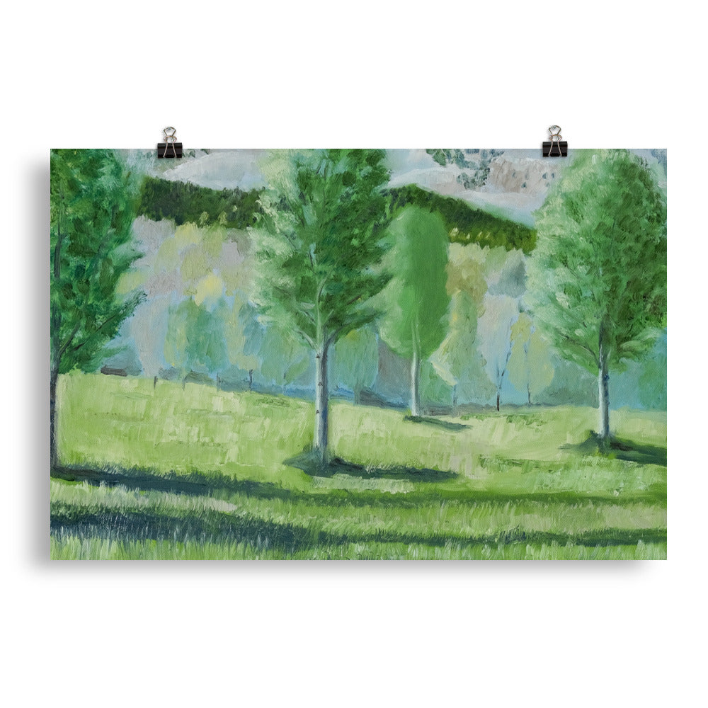 Landscape 16
