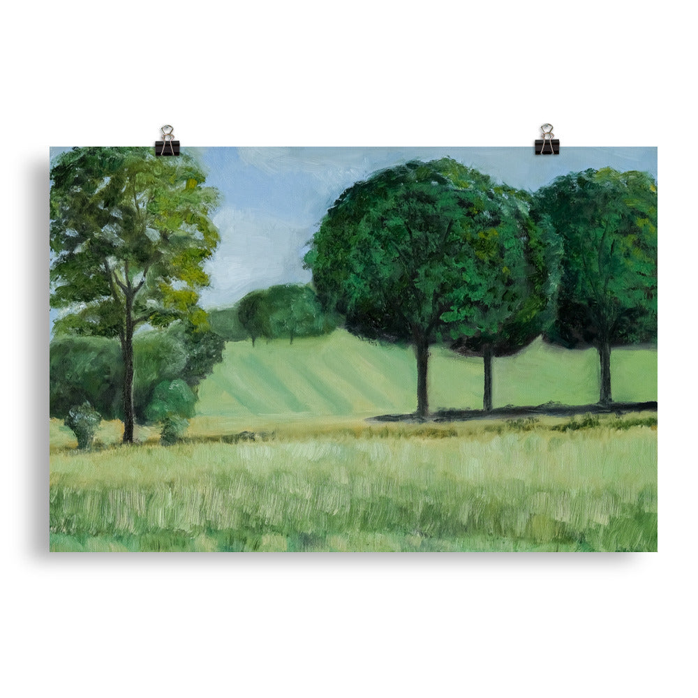 Landscape 18