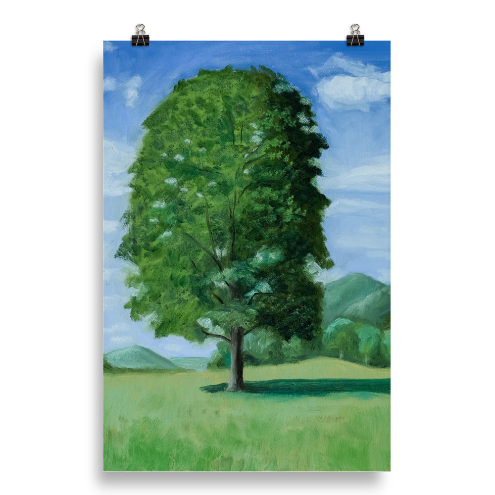 Landscape 20