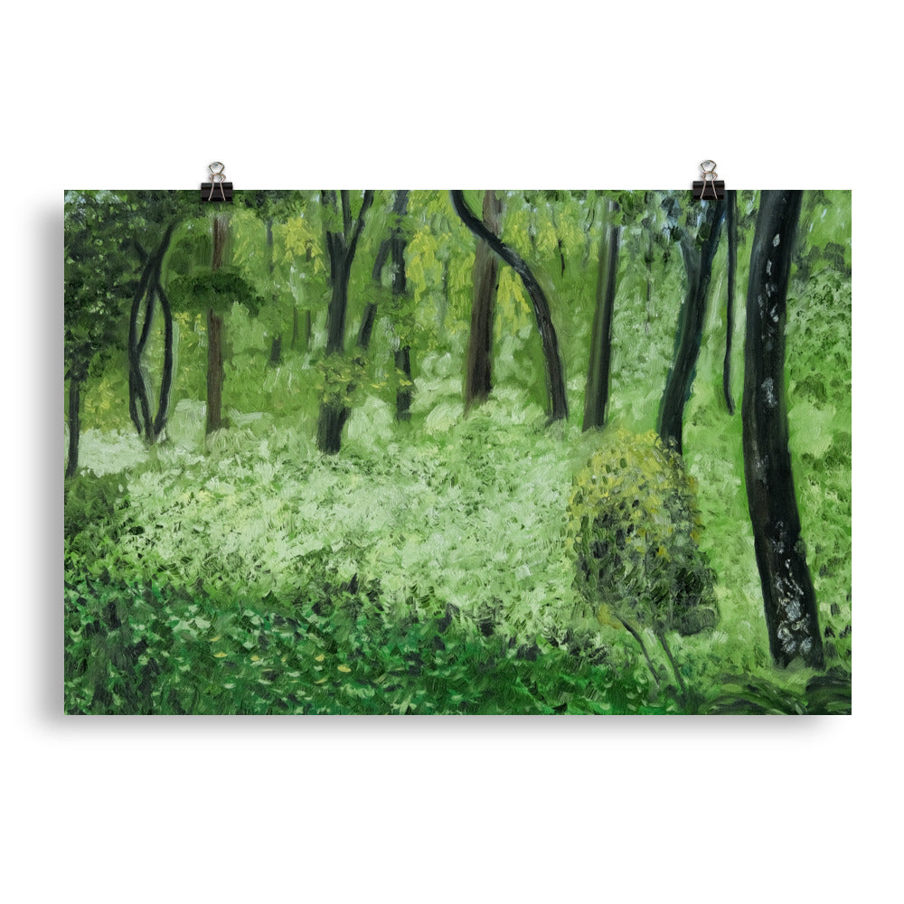 Landscape 24