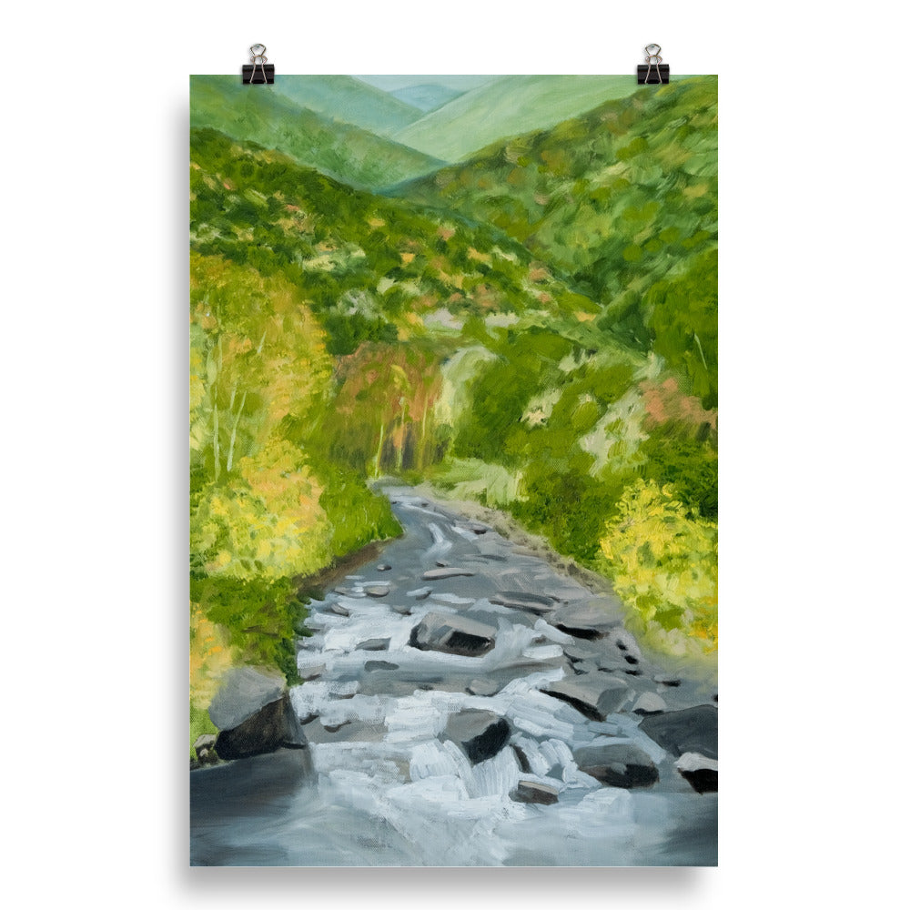 Landscape 25