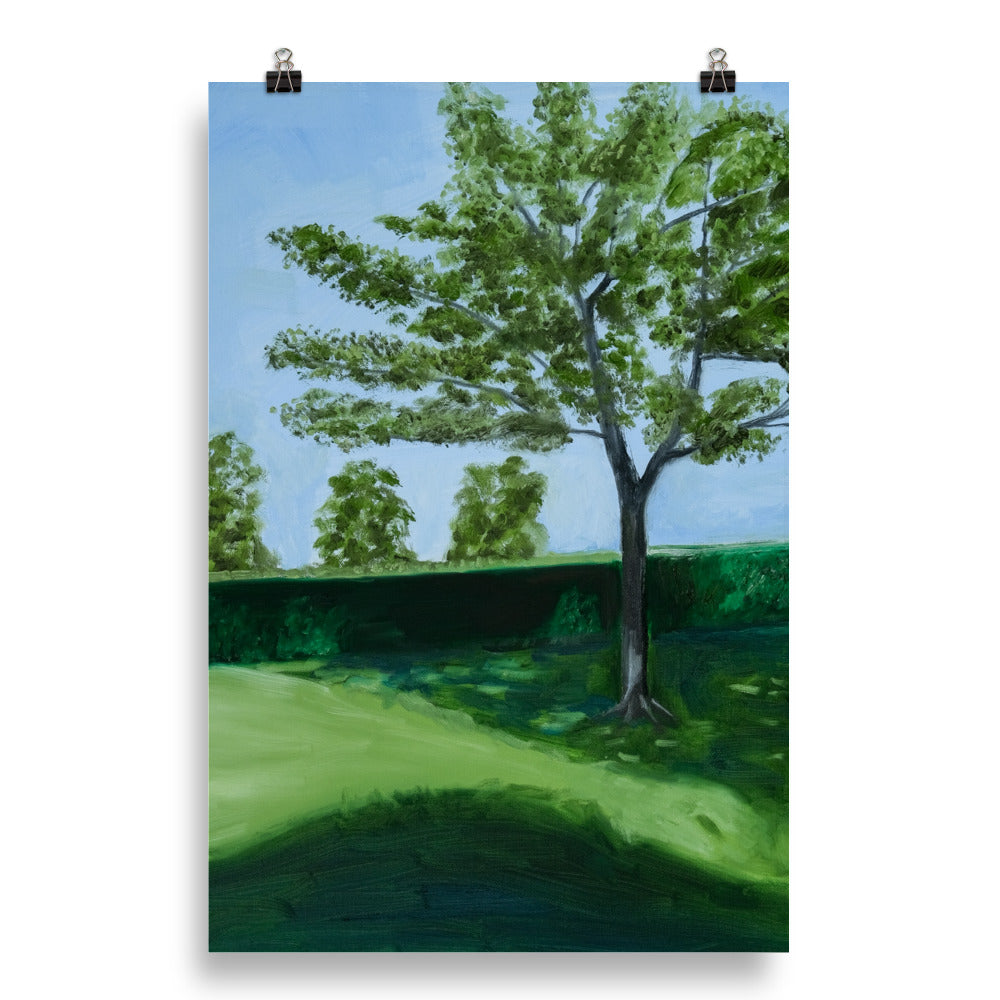Landscape 28