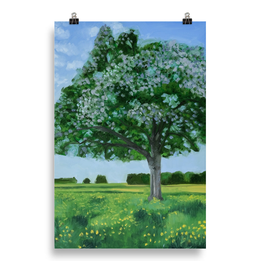 Landscape 42