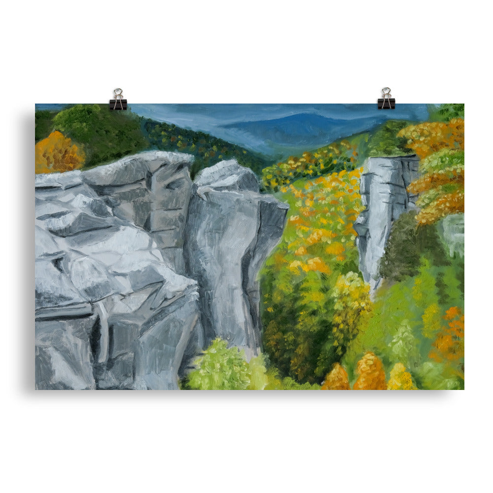 Landscape 43