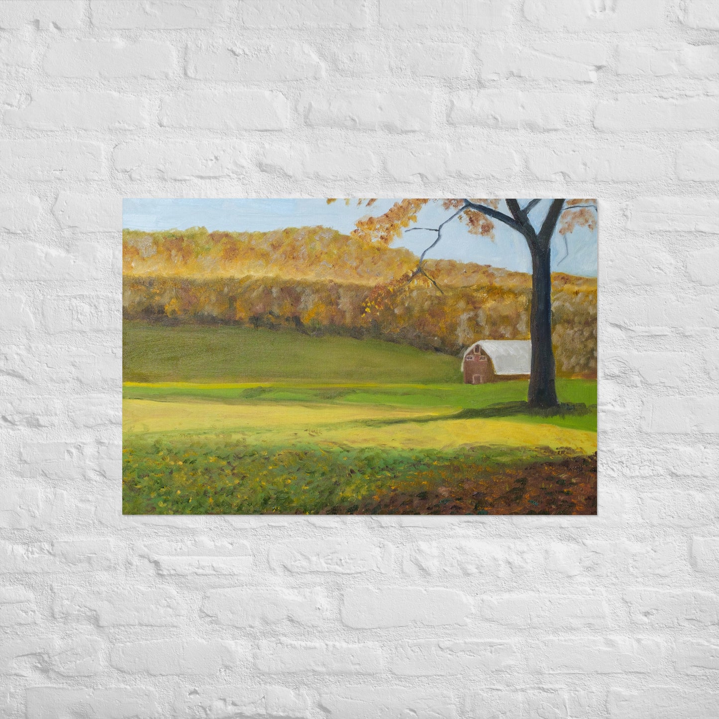 Field and barn