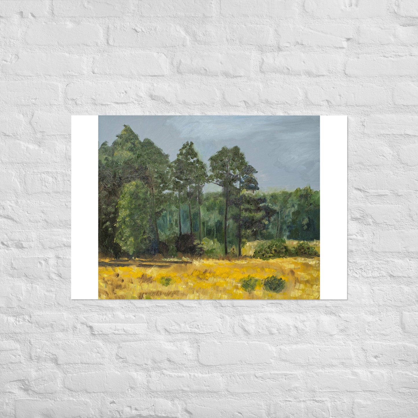 Trees in middleground