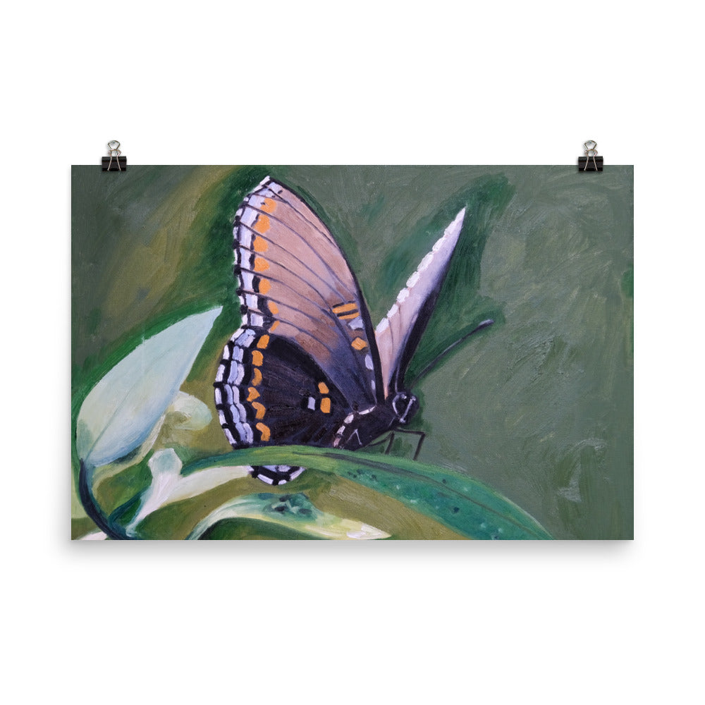 Monarch butterfly