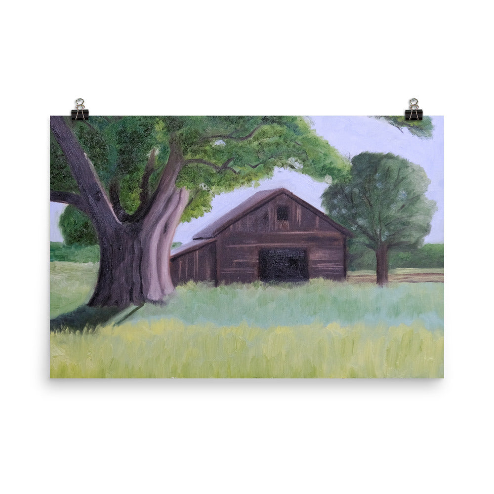 Oak tree and barn