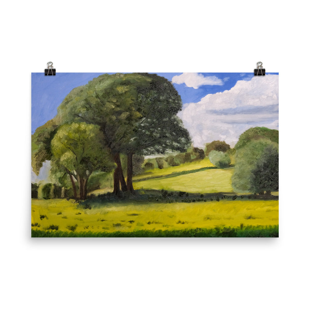 Trees in field