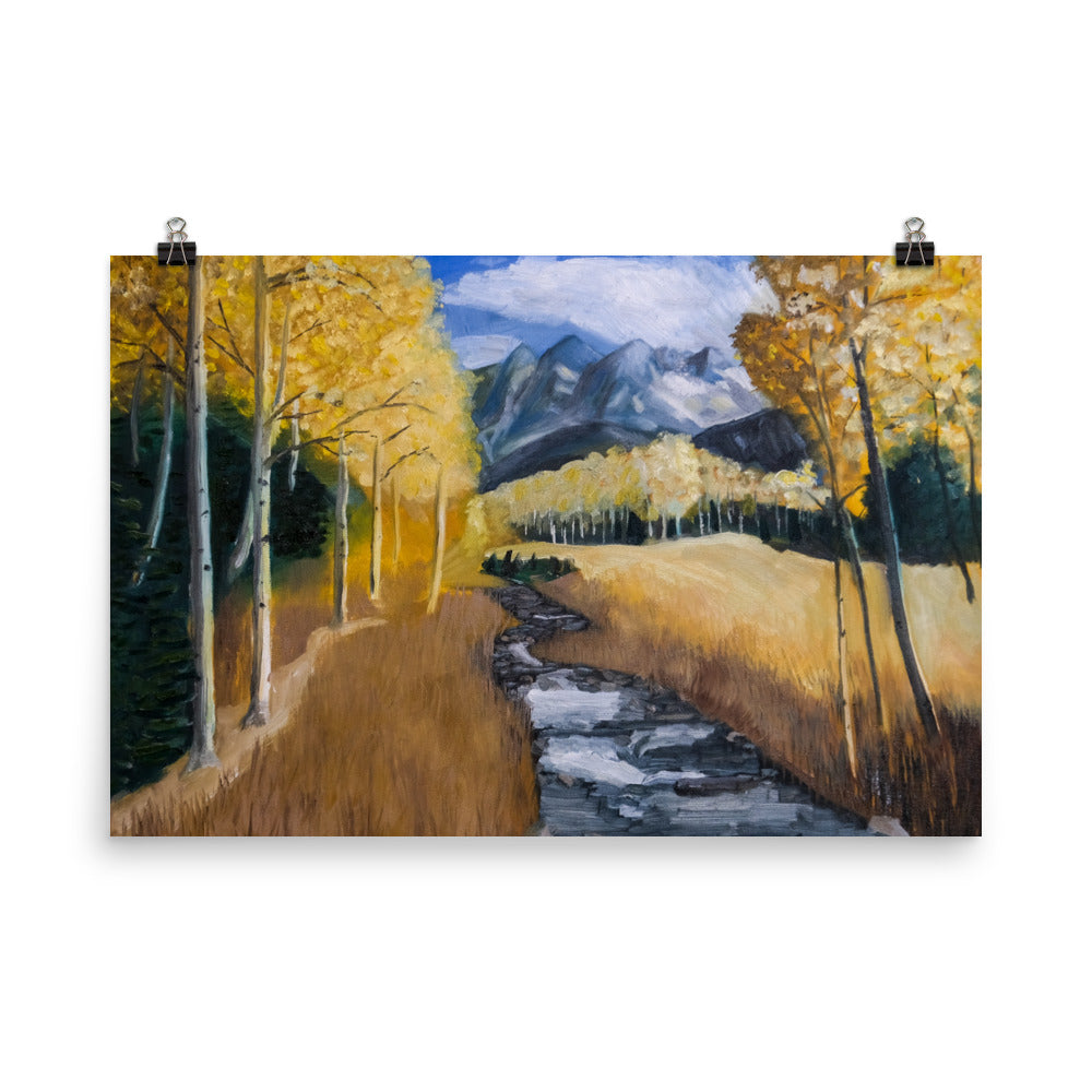 Stream and aspen trees
