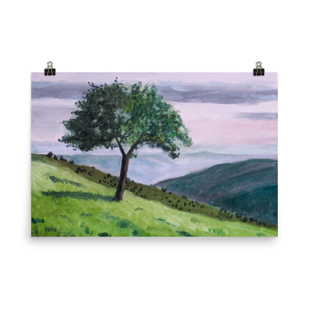 Apple tree
