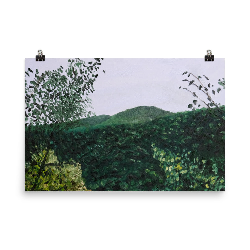 Mountain view