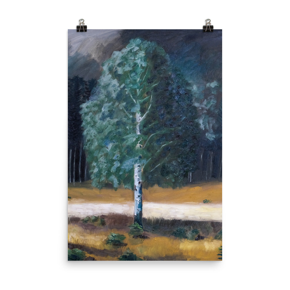 Birch tree