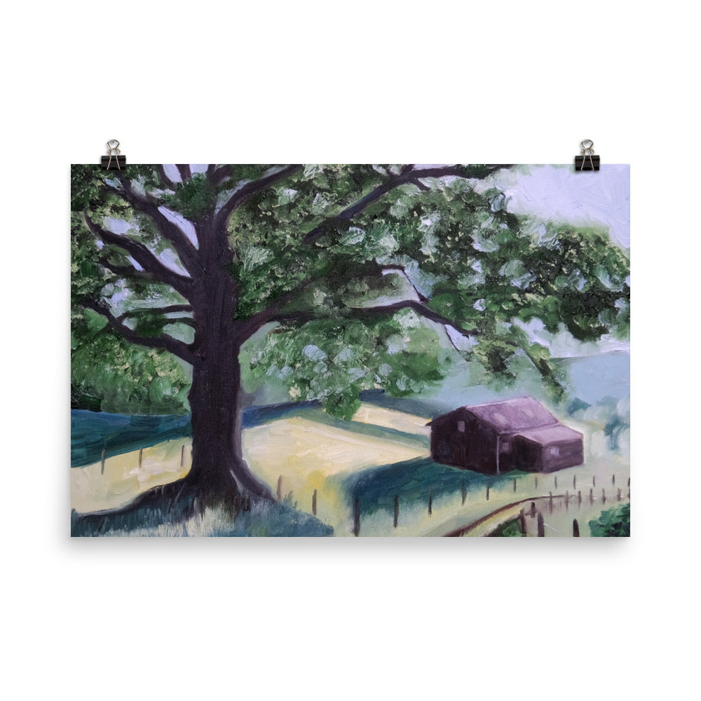 Oak tree and barn