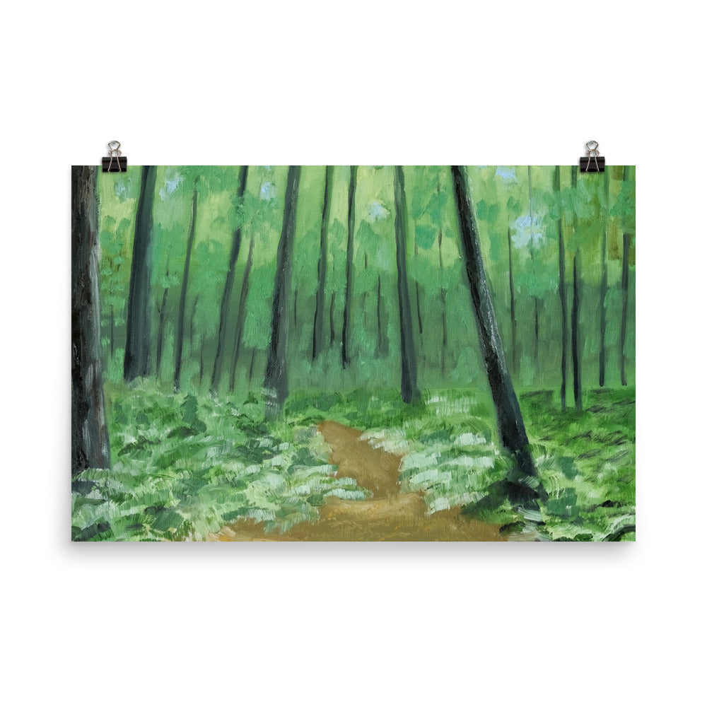 Landscape 3