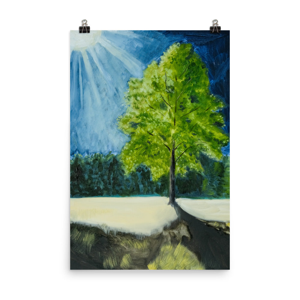 Landscape 5