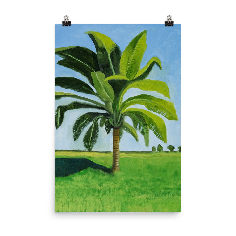 Landscape 8