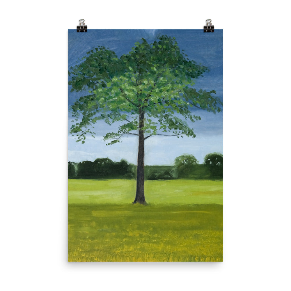 Landscape 12