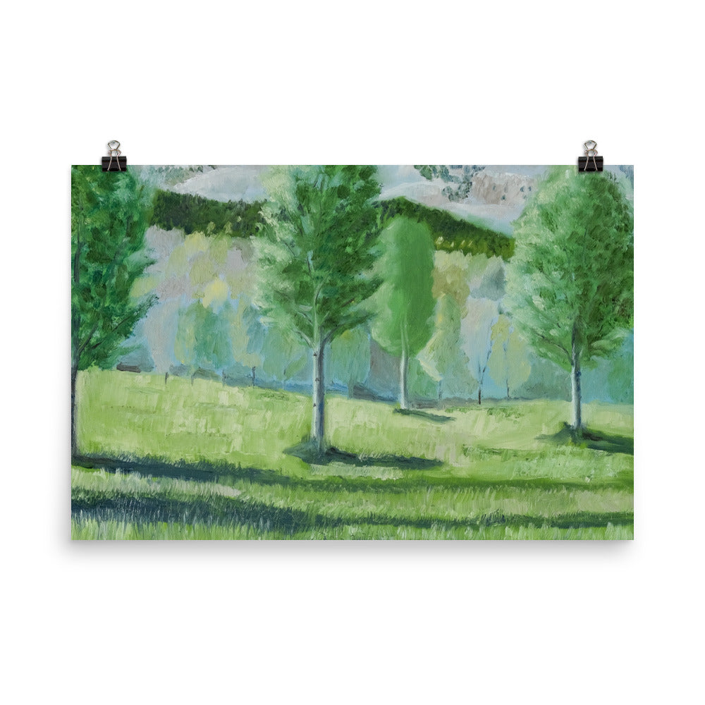 Landscape 16