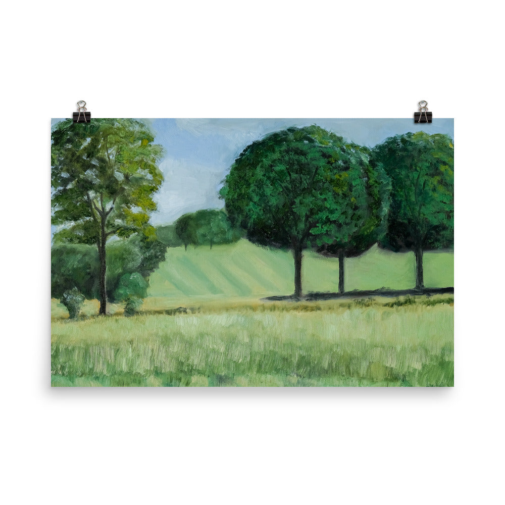 Landscape 18