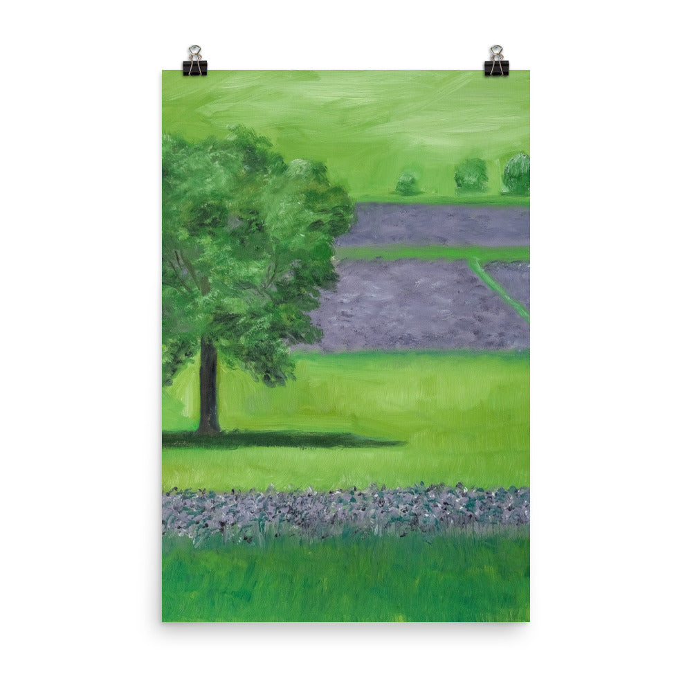 Landscape 19