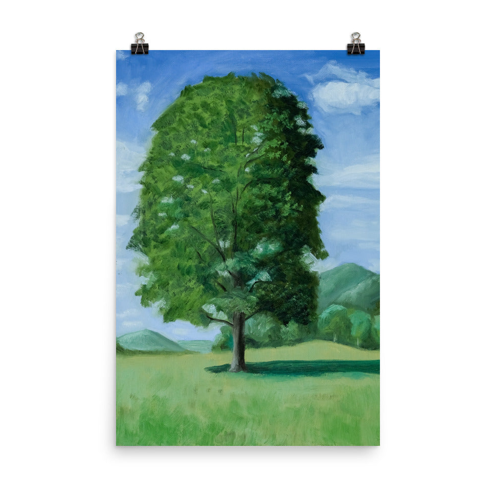 Landscape 20