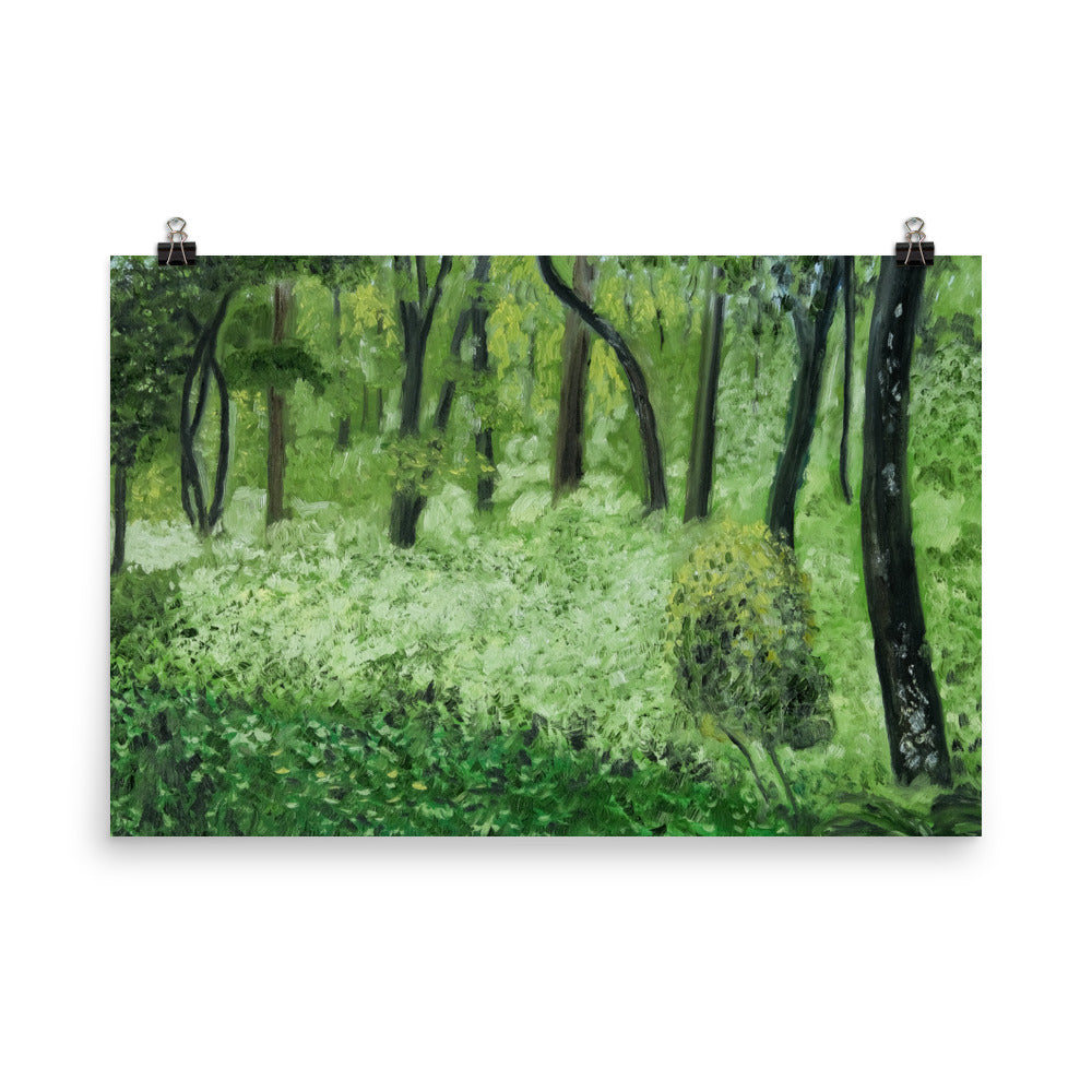 Landscape 24