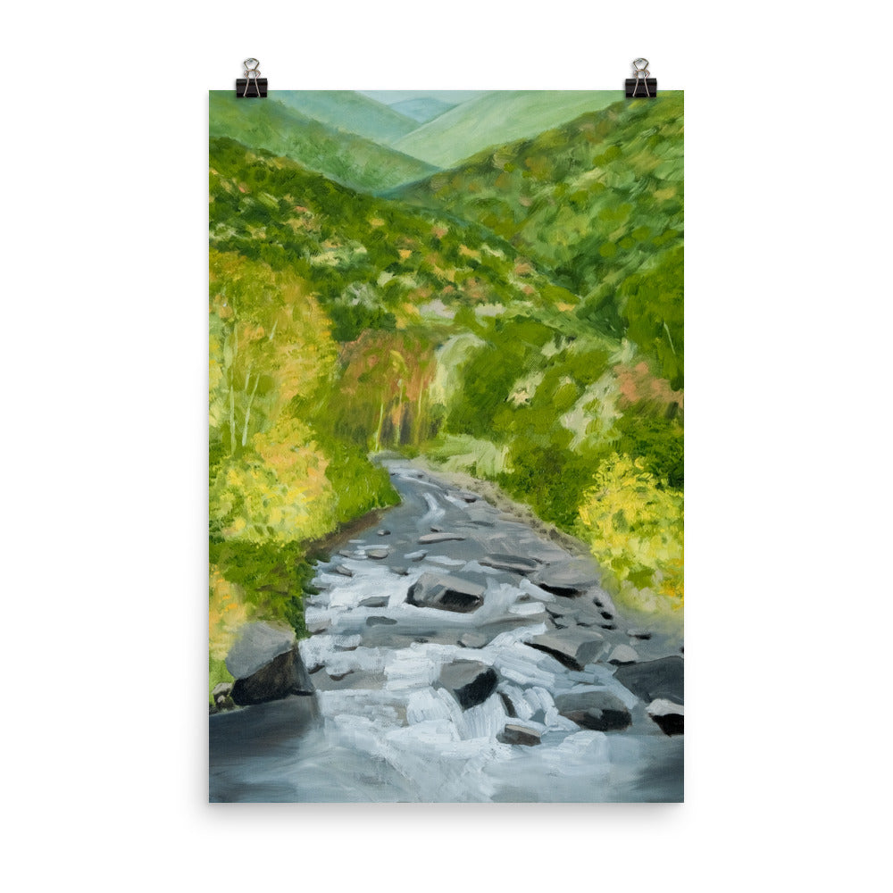 Landscape 25