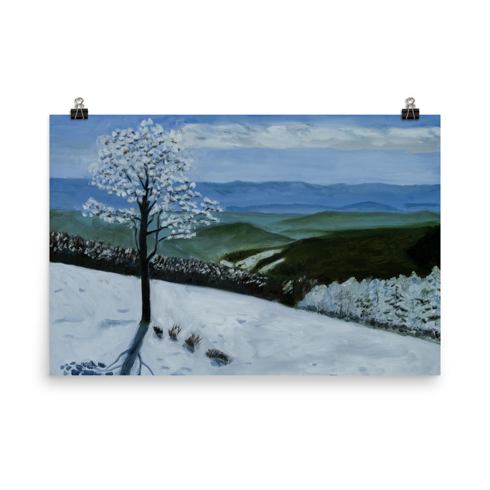 Landscape 34