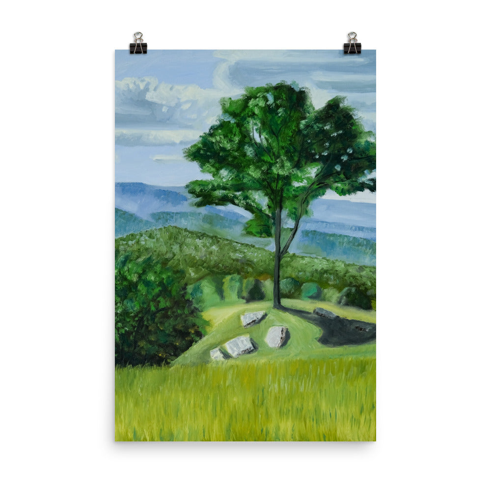 Landscape 36