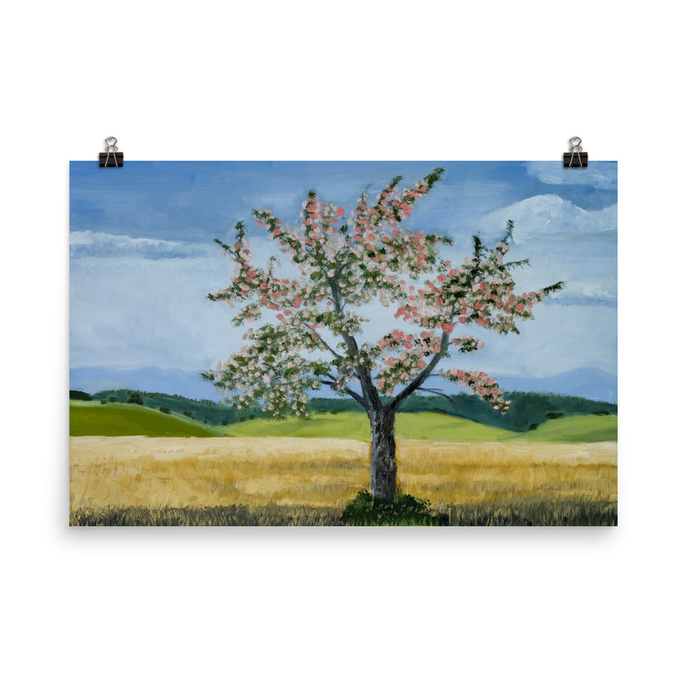 Landscape 38