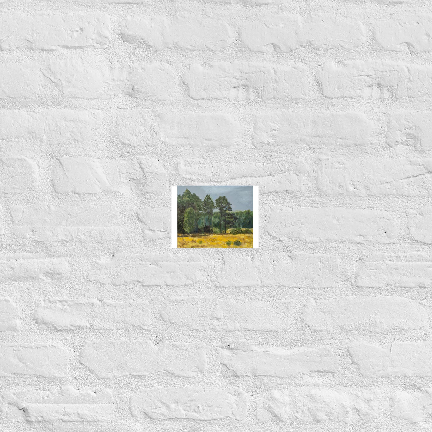Trees in middleground